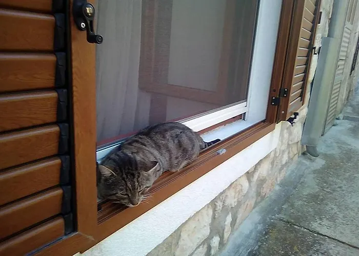 別荘 Una's House Of Joy クラパニ島